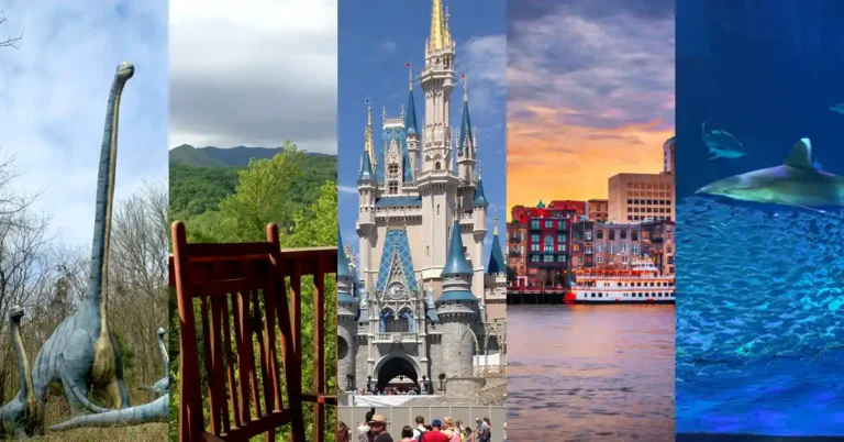 Vacation spots for special needs families